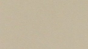 Gobernador Cuomo perdona condena de la activista mexicana Lorena Borjas.