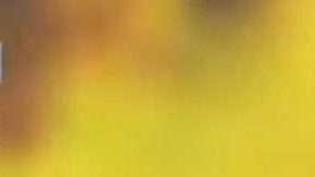 Guillermo Ochoa en el Standard de Lieja.