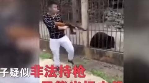 El individuo le disparó al animal en la cabeza.