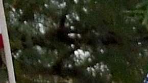 p2daca PRINCIPAL getty