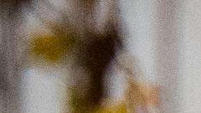 Poner árbol de Navidad con antelación es sinónimo de personas más felices.