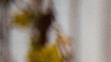 Poner árbol de Navidad con antelación es sinónimo de personas más felices.