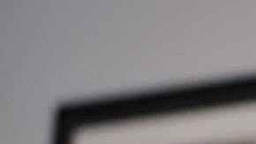 Miles y miles de pequeños insectos están ahí, en tu pino navideño.