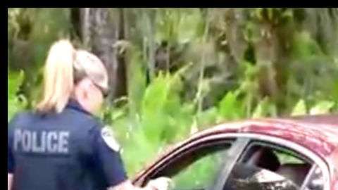 Hombre es detenido por la policía, pero, afortunadamente, no le ponen problemas, más bien lo contrario.