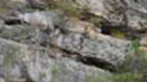 La serie biblica "El Rey David" llega a Univision