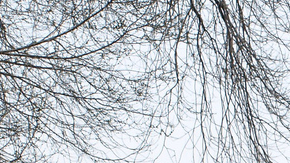 Hay 14 mil personas presas en NYC, la mayoría en espera de juicio