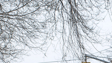 Hay 14 mil personas presas en NYC, la mayoría en espera de juicio