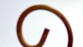 Mediante una prueba de carbono se llegó a esta conclusión.