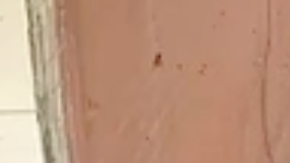 Screen Shot 2017-12-27 at 11.33.50 AM