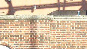 Los arrestos en Show Palace están vinculados a prostitución.