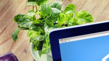 Marketing de servicio