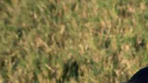 La FDA ha recibido cerca de 68 reportes de perros enfermos relacionadas con las “golosinas de hueso”.