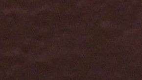 Rob Schneider es un ferviente seguidor de Tigres