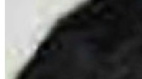 Ullah, de origen blangadesí, fue acusado hoy de cargos federales.