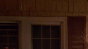 Durante sus operativos contra criminales, ICE detiene a cualquier indocumentado.