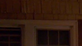 Durante sus operativos contra criminales, ICE detiene a cualquier indocumentado.