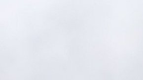 La Patrulla Estatal de Washington compartió imágenes en Twitter.