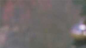 Amethyst Realm dice tener relaciones sexuales con espíritus.