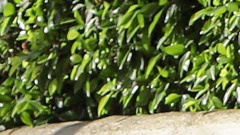 Matt Damon y su esposa Luciana Barroso.