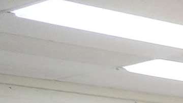 Trump disuelve la comisión que investigaba supuestos fraudes electorales.