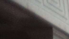 La ciudadanía es el "beneficio más sagrado" y el gobierno busca retirársela a personas naturalizadas por error, al no haber mantenido buenos archivos de huellas digitales en el pasado (Foto: archivo)