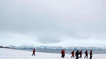 Un grupo de investigadores camina en la Antártida.