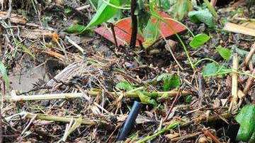 Conmoción por el hallazgo