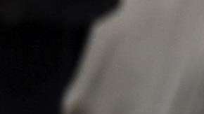 El contador de Auschwitz, EFE