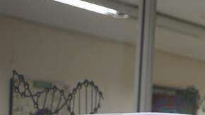 Congelar óvulos, una opción para ser madre que plantea varios dilemas.