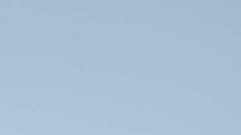 Carlos Vela (der.) y sus compañeros de Los Angeles Football Club (LAFC) luego del primer entrenamiento en la historia del nuevo equipo, efectuado en el campus de UCLA.