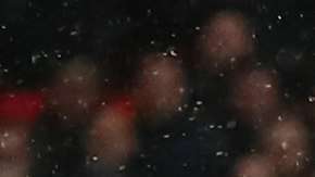 El aficionado del West Ham United no podría ingresar a los partidos de local y visitante del equipo