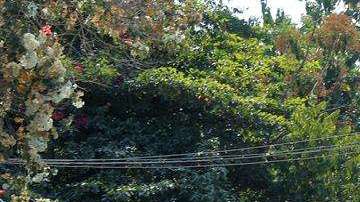 Ola de violencia en Acapulco. /EFE