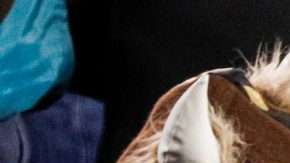 Aficionados de los Minnesota Vikings sintetizan con sus rostros la actitud que a una semana del Super Bowl permea en Minneapolis contra los Philadelphia Eagles. (Foto: EFE/EPA/JUSTIN LANE)