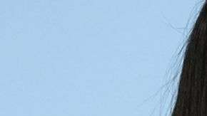 "Me di cuenta de que en el futuro todo sería en línea y colaborativo, y mucho, mucho más simple", dijo Melanie.