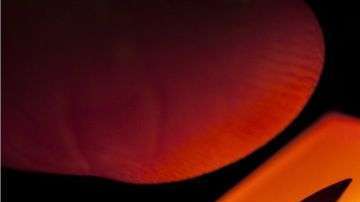 El empleado que activó el botón para activar la alarma fue "despedido temporalmente", según explicaron funcionarios estatales.