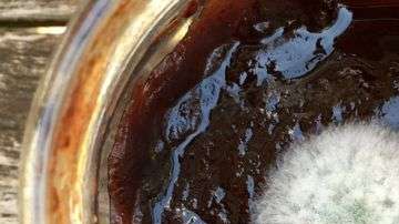 Los mohos pueden producir micotoxinas. A veces retirar la parte visible con una cuchara no es suficiente.