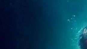 "La forma del agua" es una extraña fábula sobre el amor que se ha ganado el corazón de la crítica.