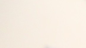 Lideres religiosos denuncian acoso de agentes de inmigracion.