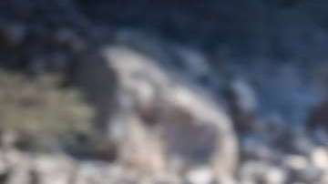 Alfa_Romeo-Stelvio_Quadrifoglio-2018-1280-05