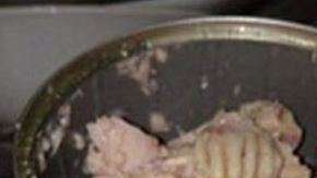 Todo un misterio generó esta lata de atún en Twitter.