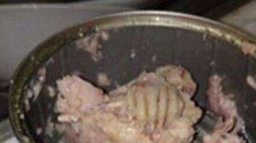 Todo un misterio generó esta lata de atún en Twitter.