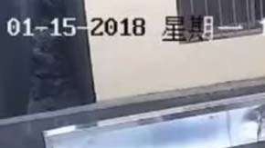 La bebé nació a los ocho meses.