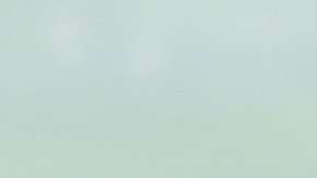 Alessandra Ambrosio estuvo acompañada de sus dos hijos.