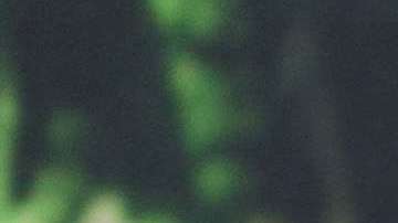 Brad Pitt se alejó de los reflectores.