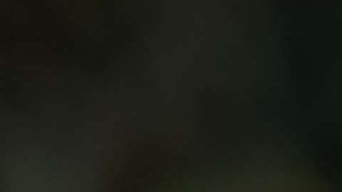 Gabriel Soto y Adriana Louvier en la telenovela "Caer en tentación"