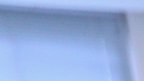 En las corte de Inmigración de NY hay unos 80,000 casos atascados.