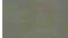 El Departamento de la Policía (NYPD)  compartió fotos de la sospechosa.