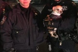 La Unidad de Servicios de Emergencia del NYPD fue al rescate de la mascota.