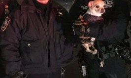 La Unidad de Servicios de Emergencia del NYPD fue al rescate de la mascota.