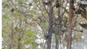 Todos los integrantes de la familia Steinberg, originaria de NY, perdieron la vida.